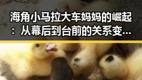 海角小马拉大车妈妈的崛起：从幕后到台前的关系变迁引发热议