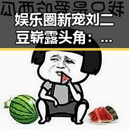 娱乐圈新宠刘二豆崭露头角：从颜值到才艺的全能表现
